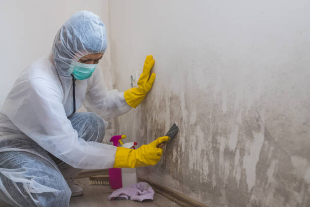 Best Comprehensive Air Testing for Mold Contaminants  in Muscle Shos, AL