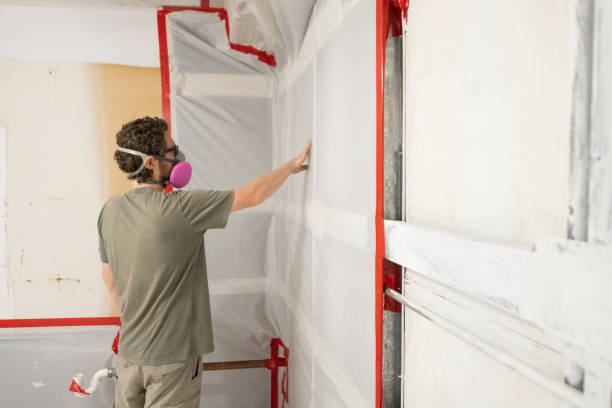 Best Attic Mold Removal  in Muscle Shos, AL