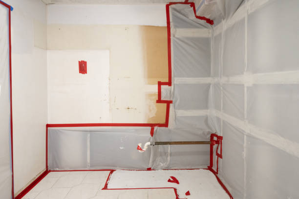 Best Residential Mold Inspection & Testing  in Muscle Shos, AL