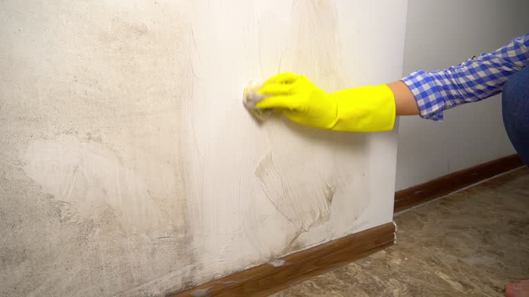 Best HVAC Mold Inspection and Cleaning  in Muscle Shos, AL