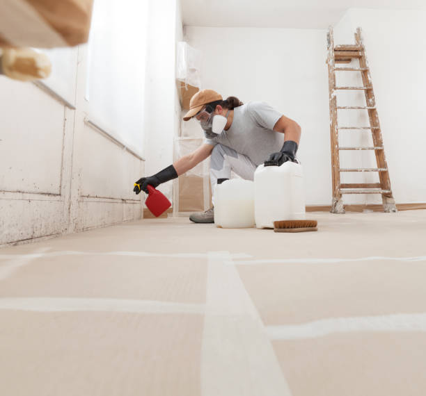 Best Mold Damage Restoration  in Muscle Shos, AL