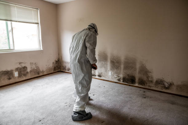 Forensic Mold Investigation in Muscle Shoals, AL